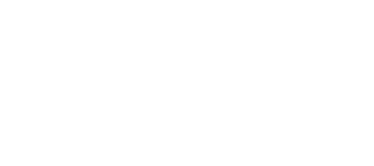 EMPIRE | OCR Hybrid Performance